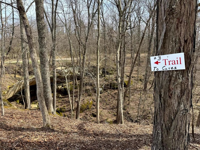 0 Remely Road, Unit (Millstone, Cutler, OH 45724 Photo 19