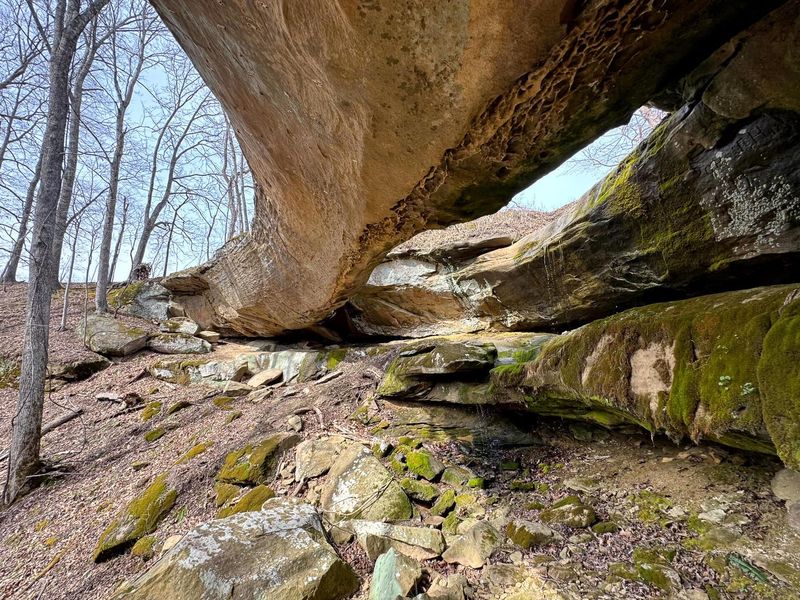 0 Remely Road, Unit (Millstone, Cutler, OH 45724 Photo 5