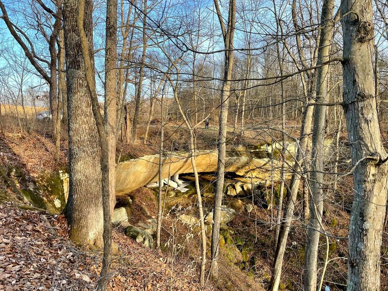 0 Remely Road, Unit (Millstone, Cutler, OH 45724 Photo 6