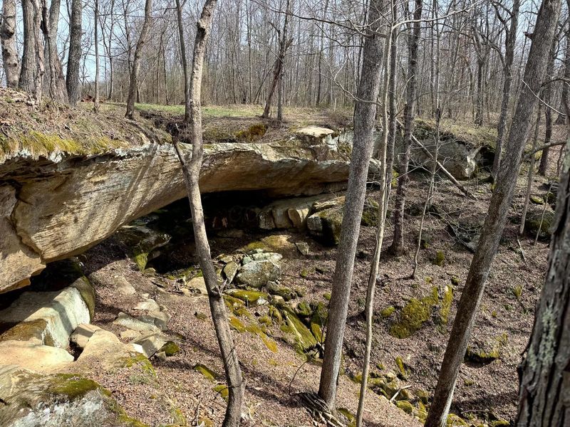 0 Remely Road, Unit (Millstone, Cutler, OH 45724 Photo 7