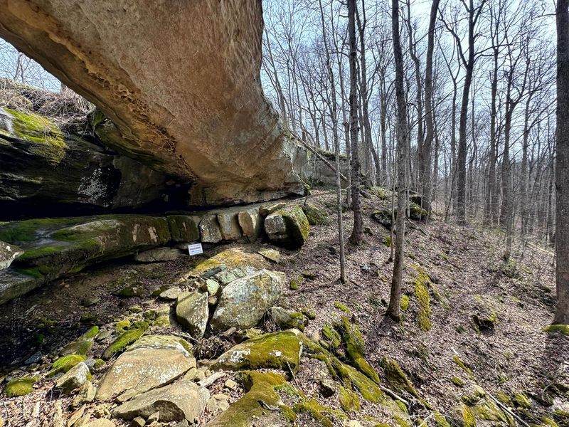 0 Remely Road, Unit (Millstone, Cutler, OH 45724 Photo 9