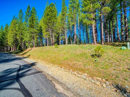 266 Boulder Drive, Clio, CA 96106 Photo