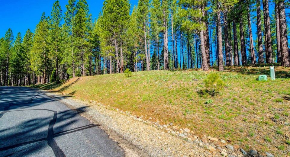 266 Boulder Drive, Clio, CA 96106 Photo