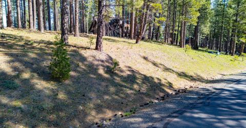 266 Boulder Drive, Clio, CA 96106 Photo