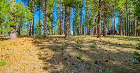 266 Boulder Drive, Clio, CA 96106 Photo