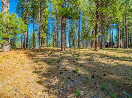 266 Boulder Drive, Clio, CA 96106 Photo