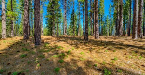 266 Boulder Drive, Clio, CA 96106 Photo