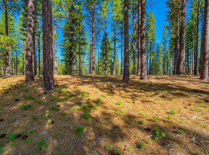 266 Boulder Drive, Clio, CA 96106 Photo