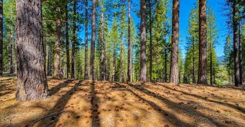 266 Boulder Drive, Clio, CA 96106 Photo