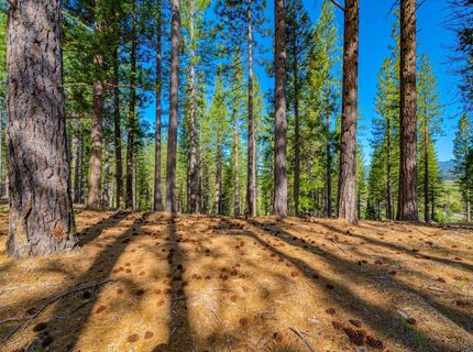 266 Boulder Drive, Clio, CA 96106 Photo