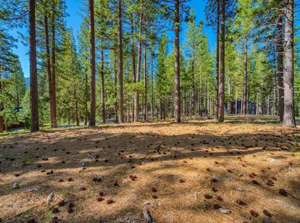 266 Boulder Drive, Clio, CA 96106 Photo
