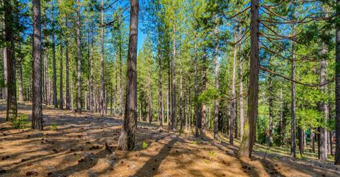 266 Boulder Drive, Clio, CA 96106 Photo
