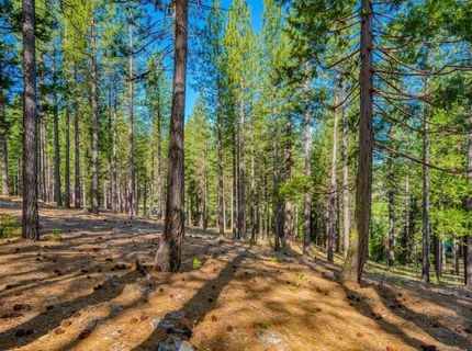 266 Boulder Drive, Clio, CA 96106 Photo