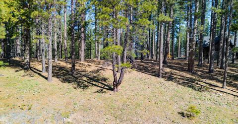 266 Boulder Drive, Clio, CA 96106 Photo