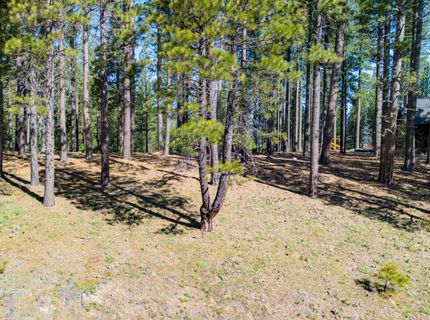 266 Boulder Drive, Clio, CA 96106 Photo