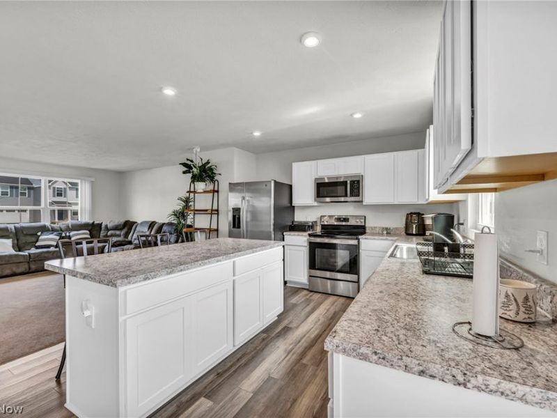 172 Wildflower Drive, Elyria, OH 44035 Photo 5