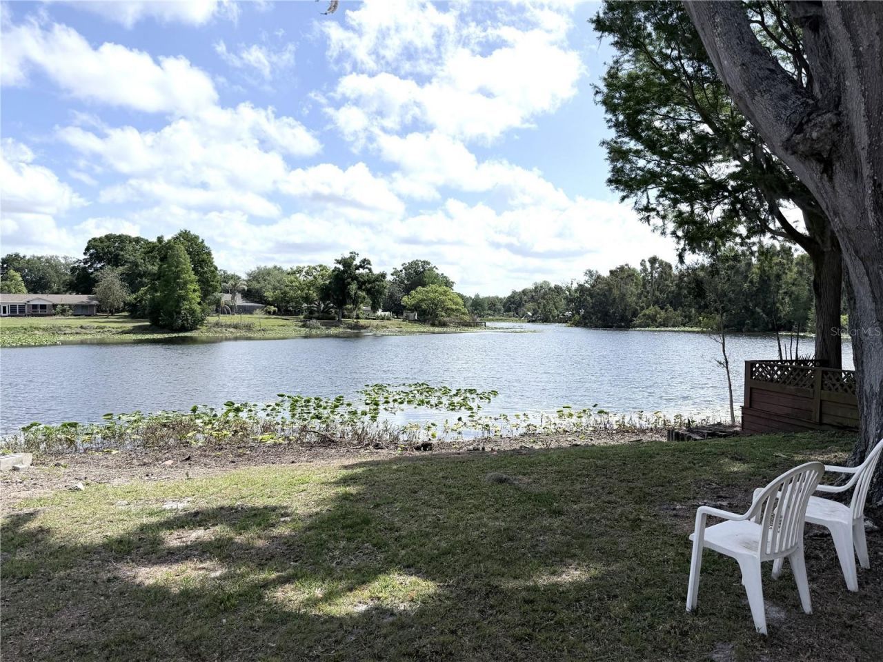 11505 N Rome Avenue, Tampa, FL 33612 Photo