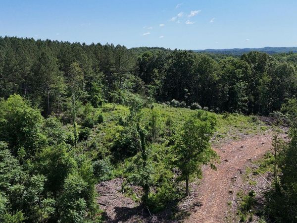 Lot 2 Lamontville Rd, Decatur, TN 37322