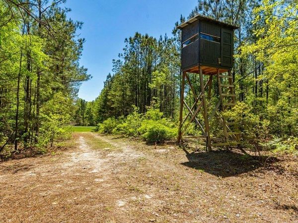 0 Wainwright Road, Butler, GA 31006