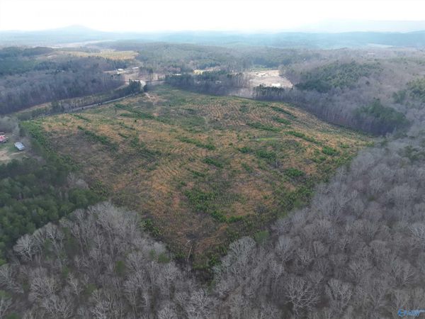 57 AC County Road 921, Gaylesville, AL 35973