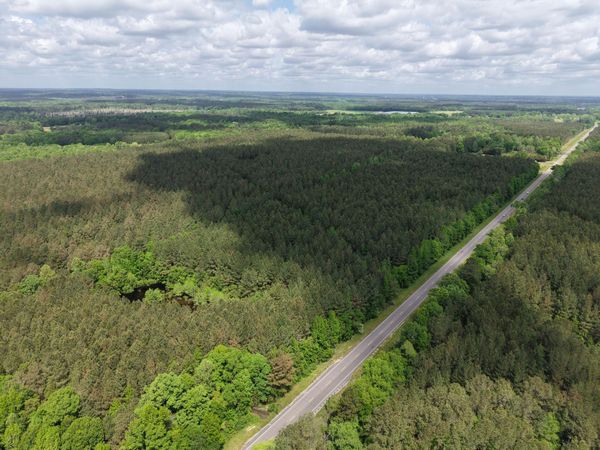 00 Route 11, Moselle, MS 39459