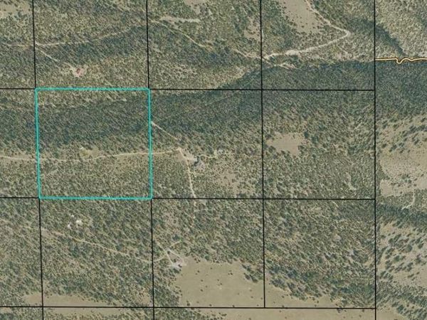 TBD County Road 251 , Salida, CO 81201