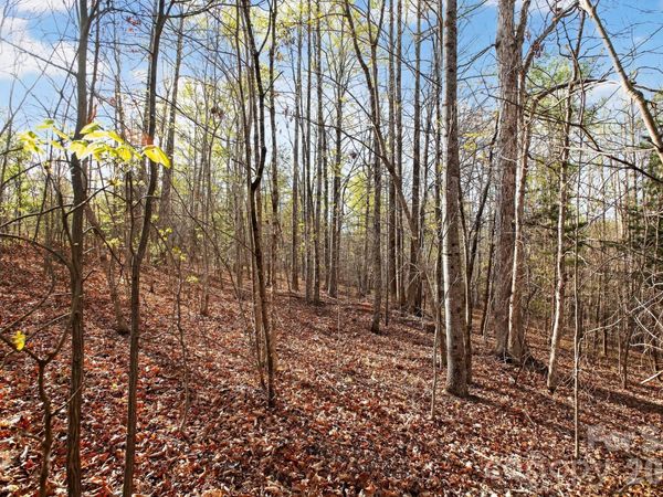 Lot 62 Dirksen Avenue , Nebo, NC 28655