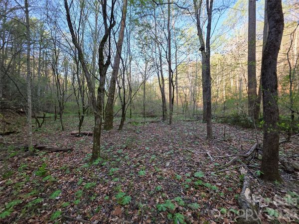 00 Mountain Creek Way , Marion, NC 28752