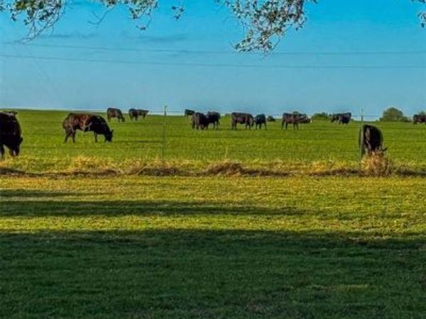 16491 Rockwood Avenue, Wayne, OK 73095