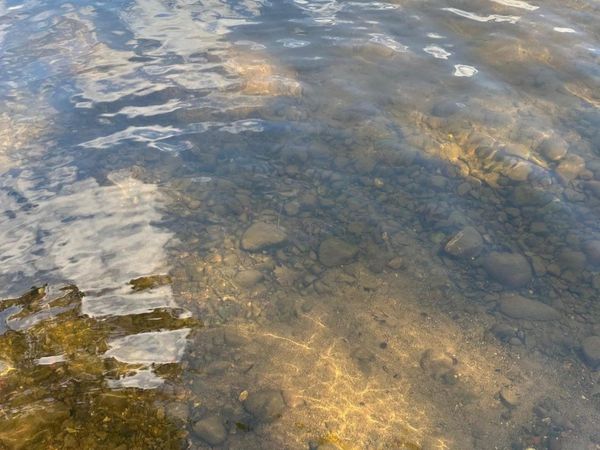 36599 Dove, Aitkin, MN 56431