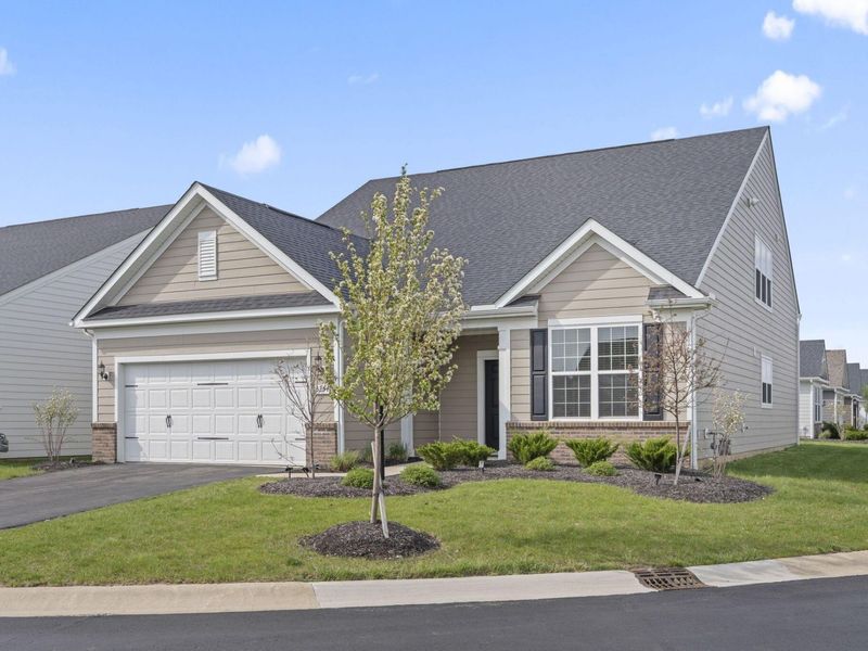 3254 Sinatra Way, Powell, OH 43065 Photo 5