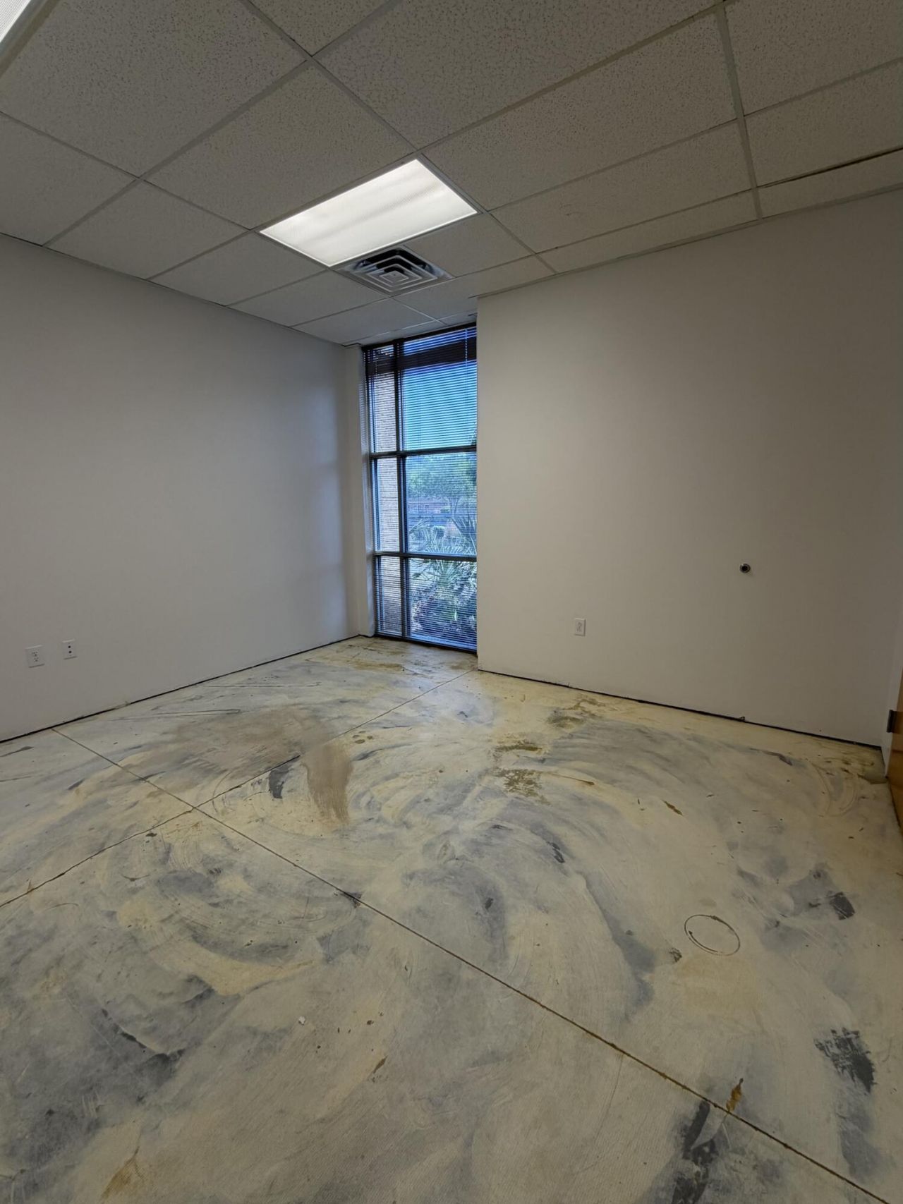 1024 Ewall Street Photo 6