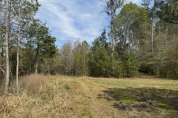 0 Getaway Lane  photo 4