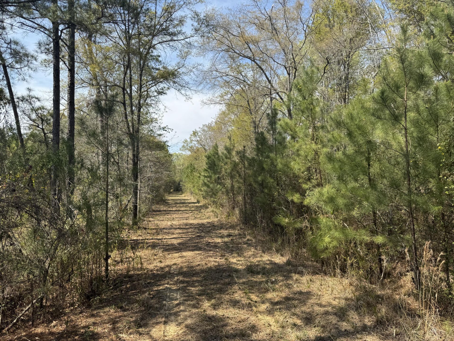 0 Getaway Lane  Photo 4