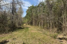 0 Getaway Lane  photo 4