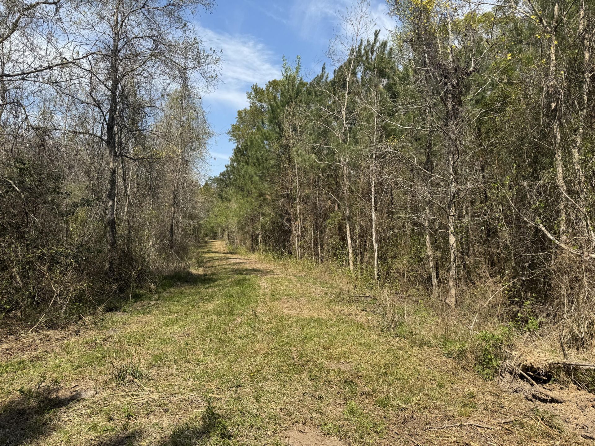 0 Getaway Lane Photo 5