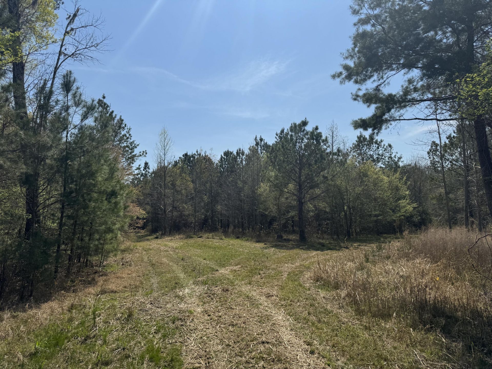 0 Getaway Lane  Photo 6