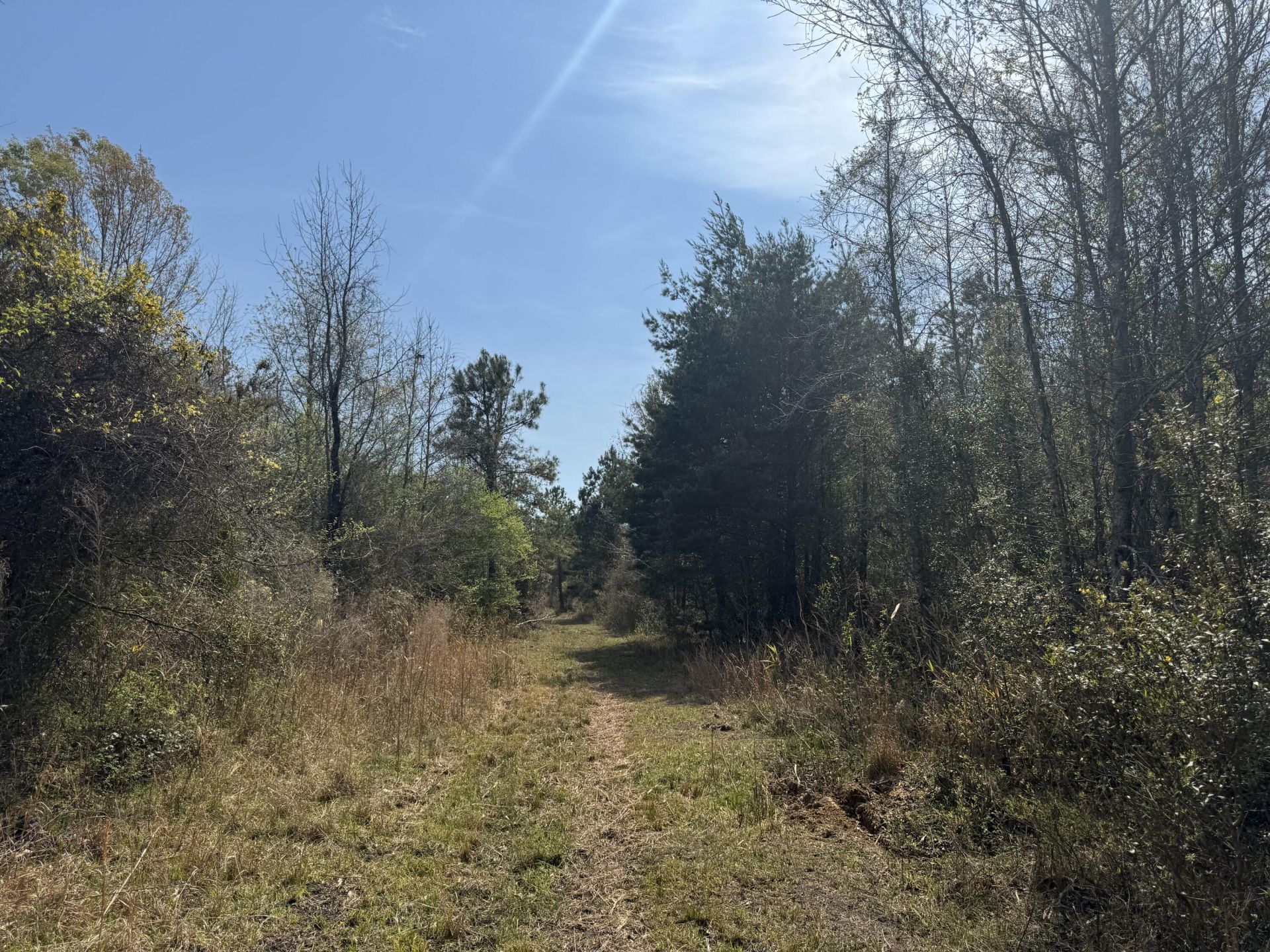 0 Getaway Lane  Photo 7