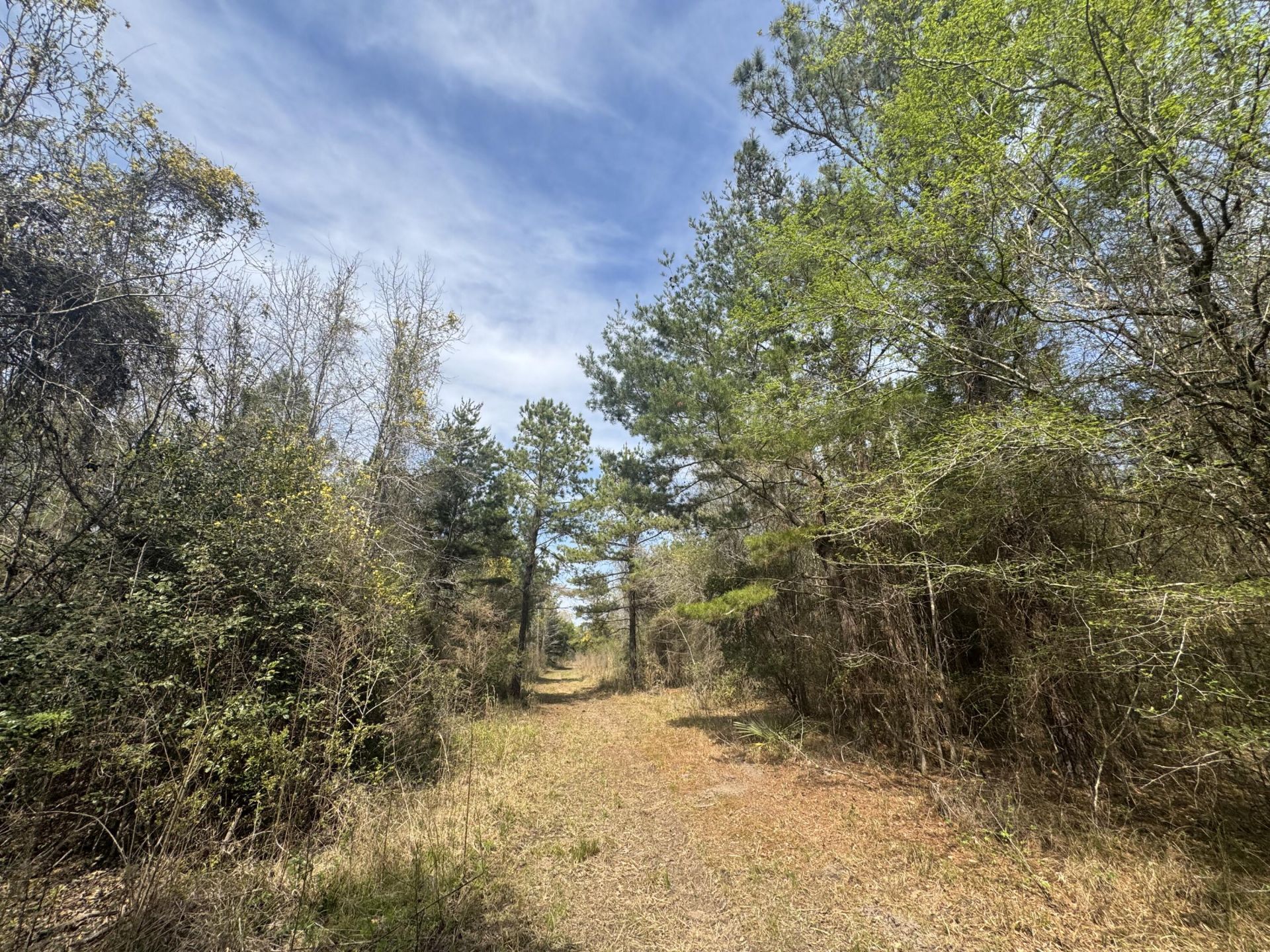 0 Getaway Lane  Photo 8