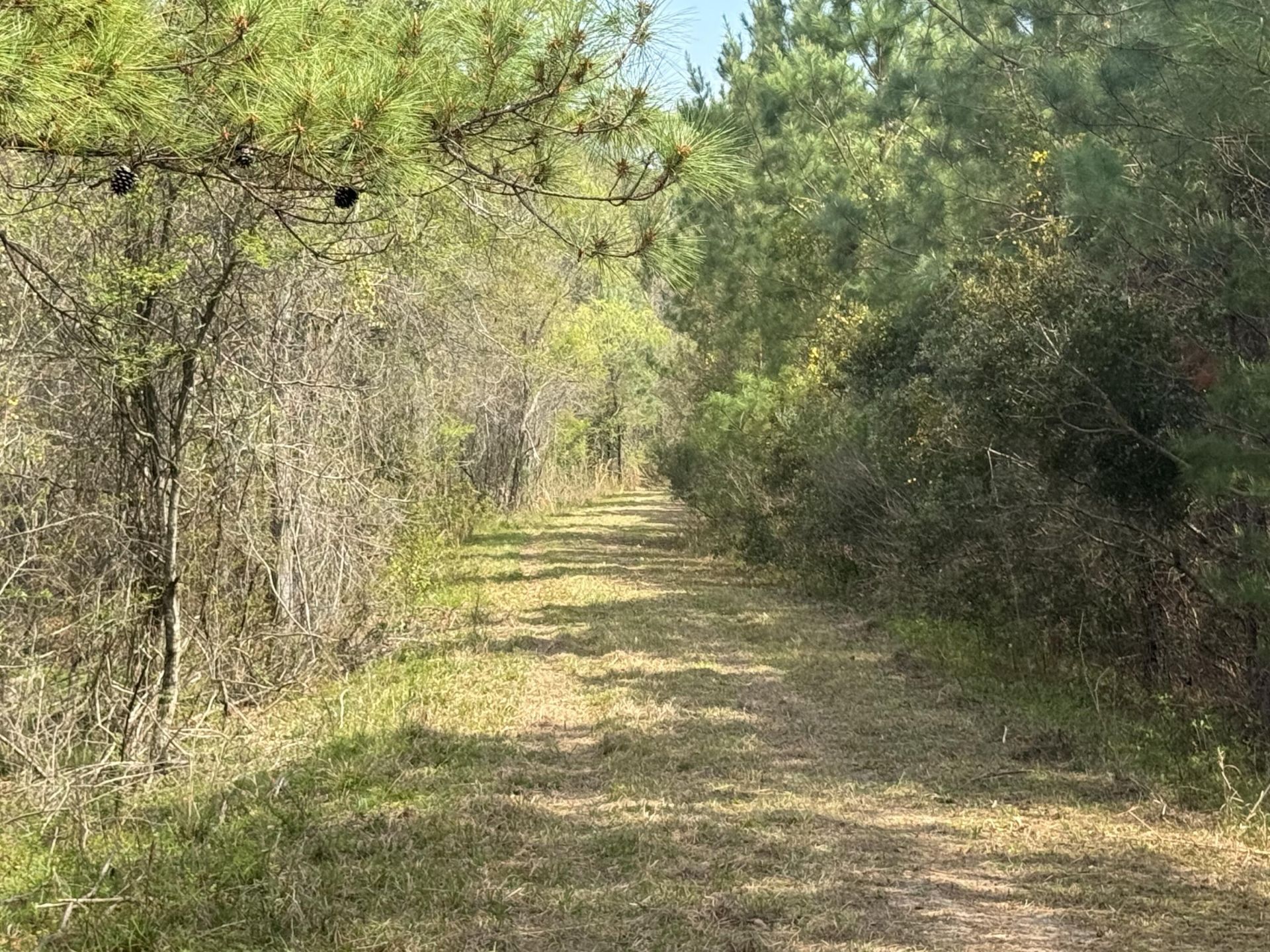 0 Getaway Lane Photo 9