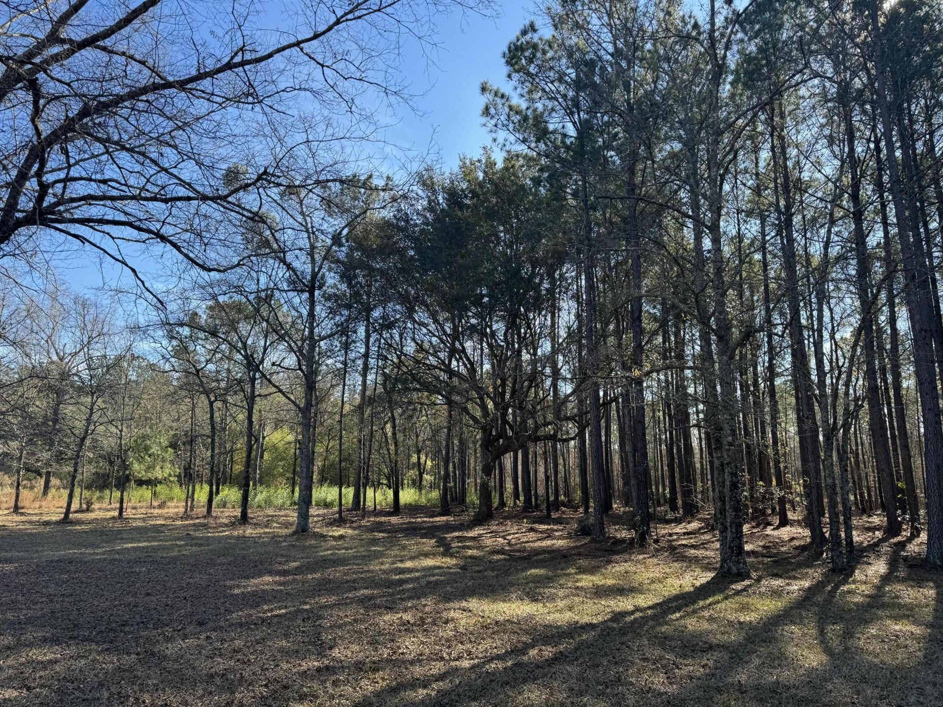 263 Brewer Road Photo 10