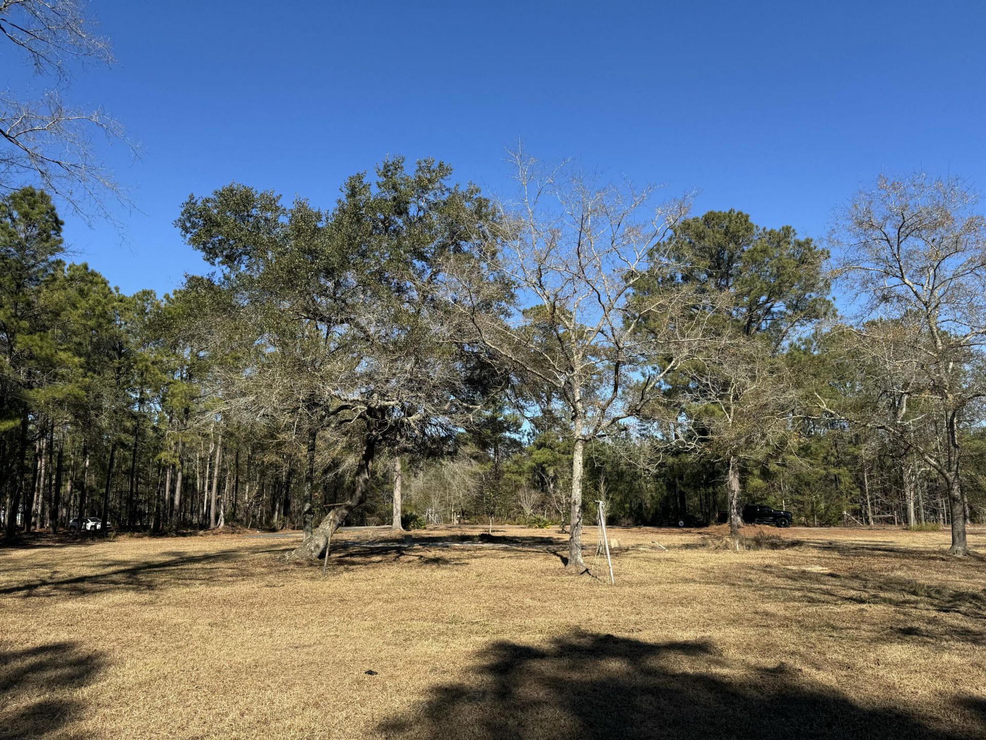 263 Brewer Road Photo 12