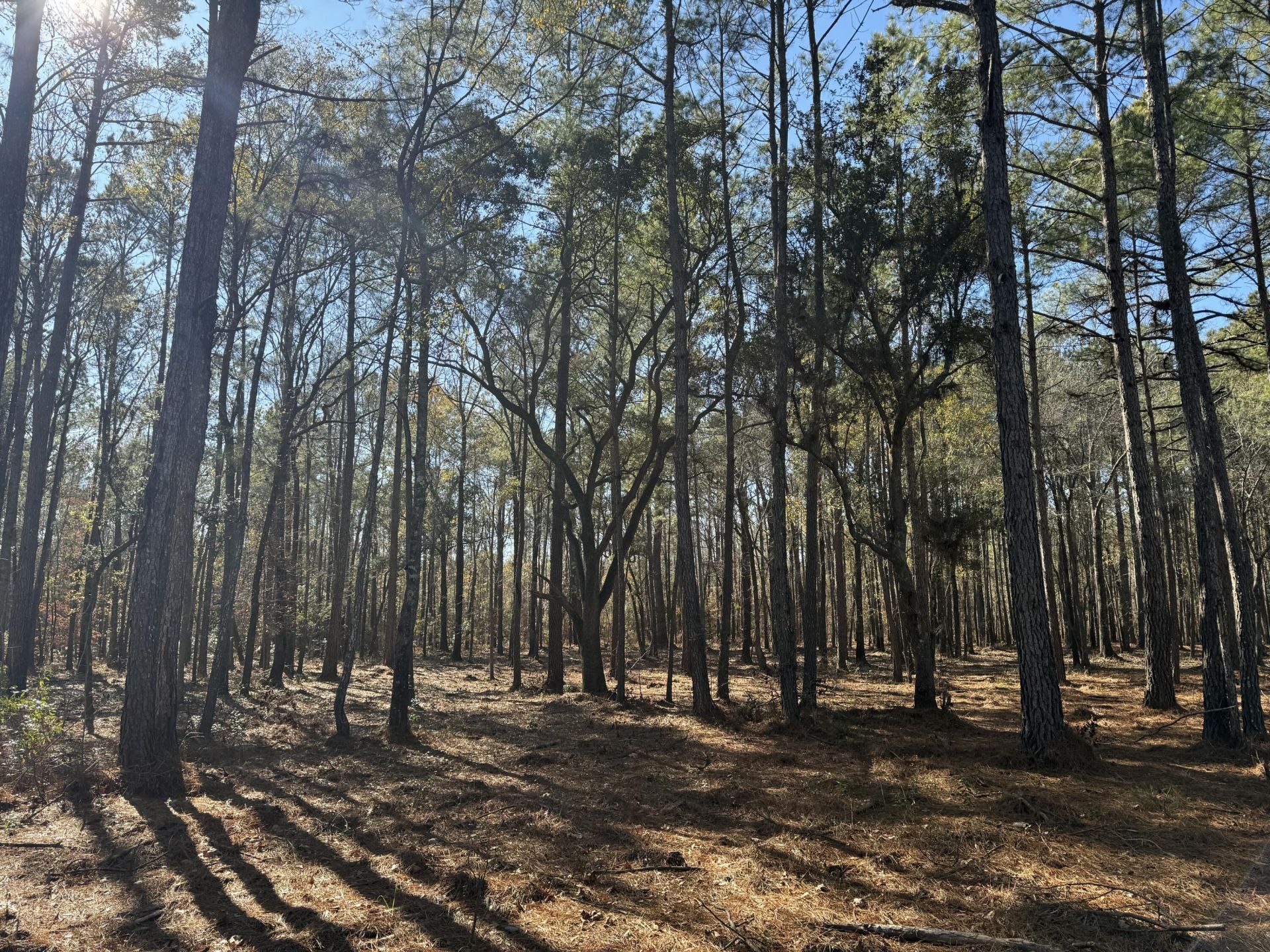 263 Brewer Road Photo 13