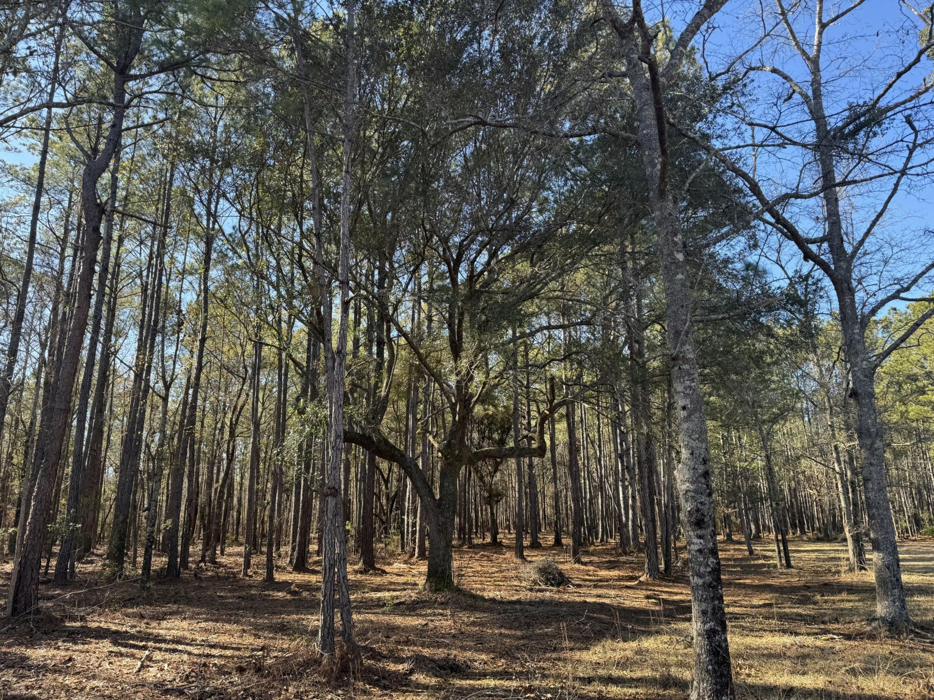 263 Brewer Road  Photo 15