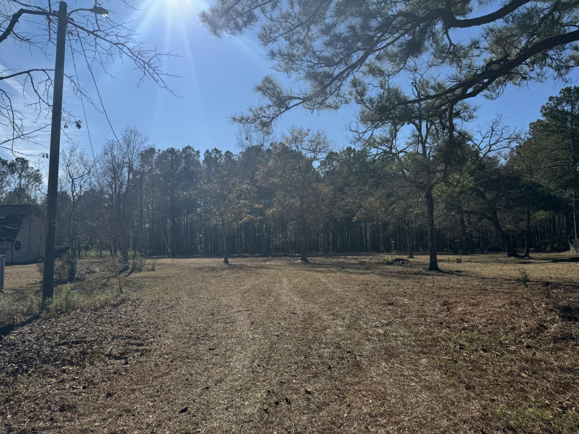 263 Brewer Road  Photo 4