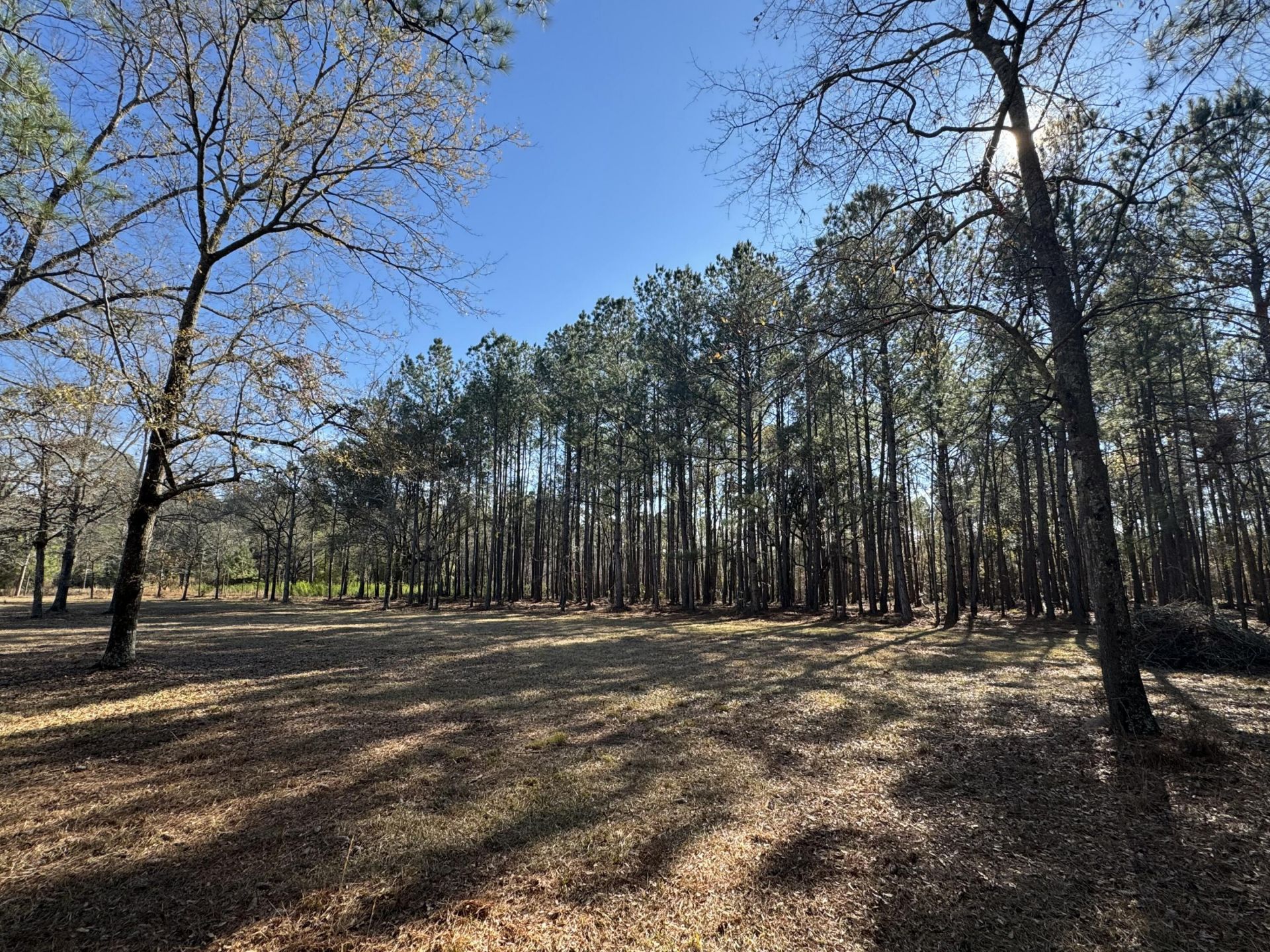 263 Brewer Road  Photo 5