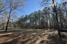 263 Brewer Road  photo 4