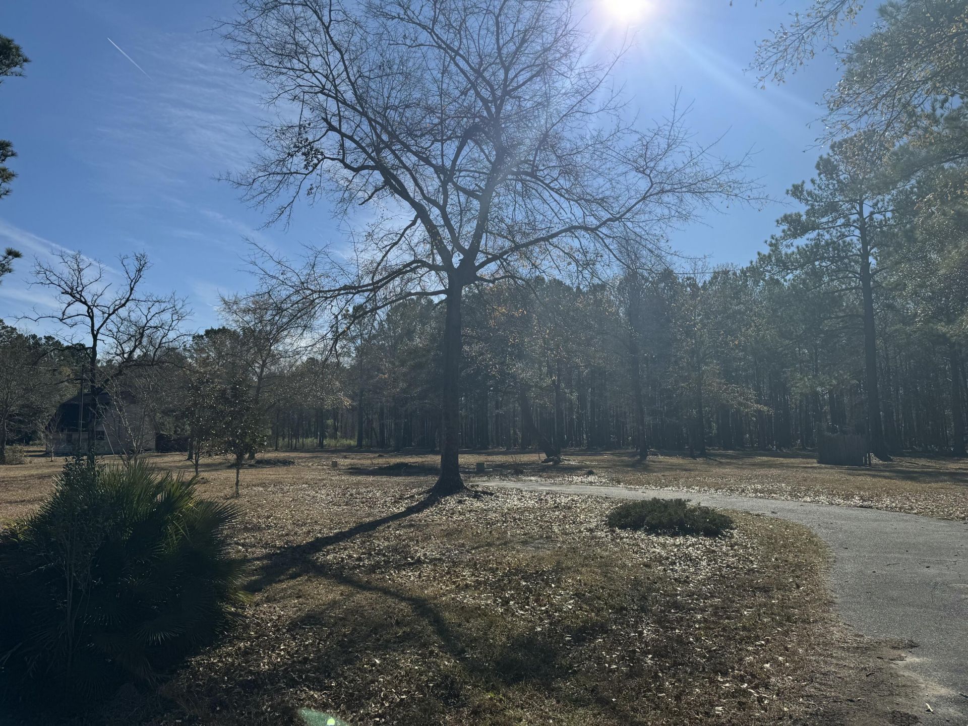 263 Brewer Road  Photo 6