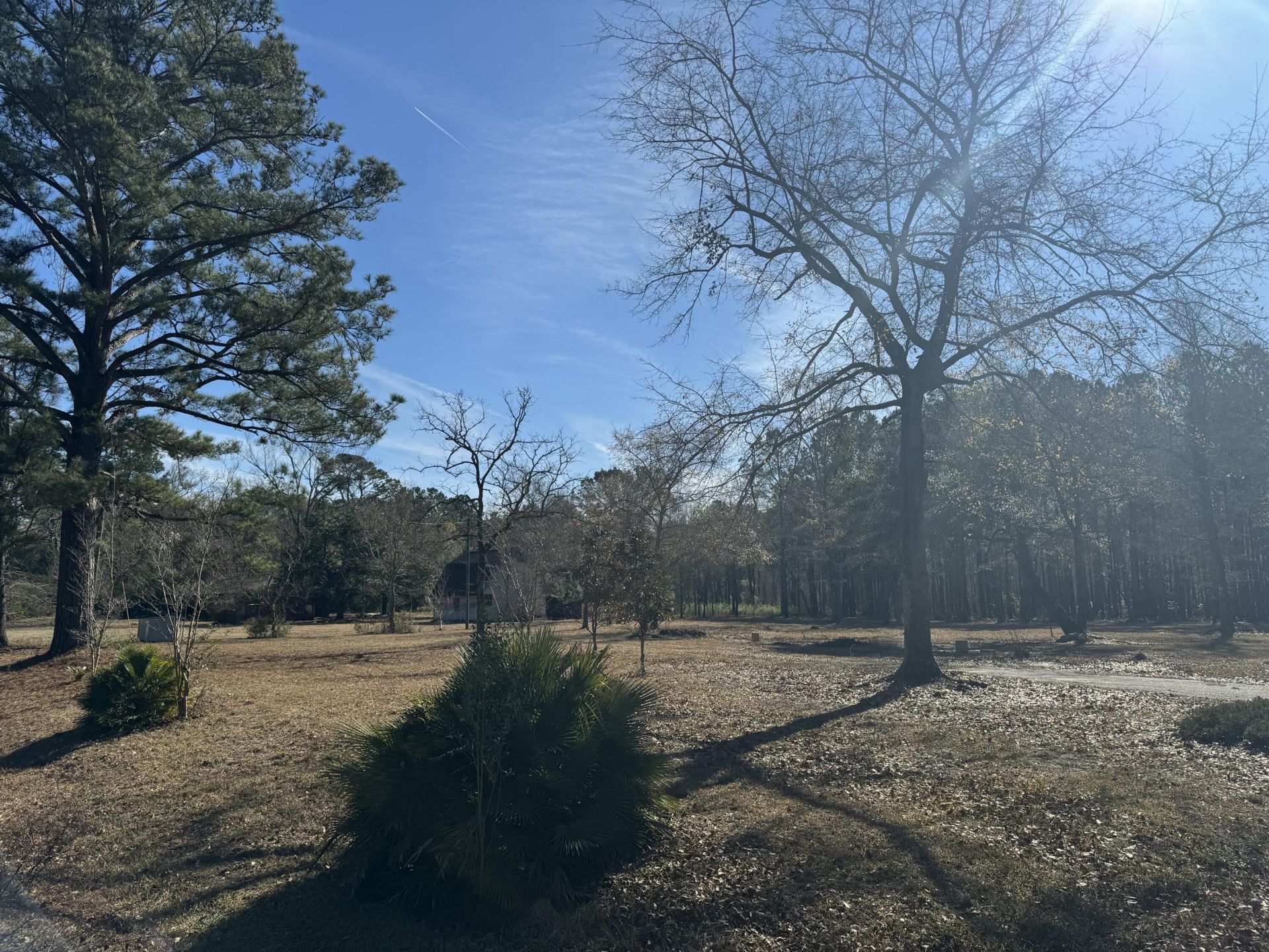 263 Brewer Road  Photo 7