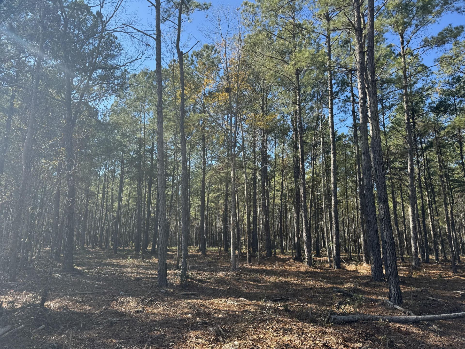 263 Brewer Road Photo 8